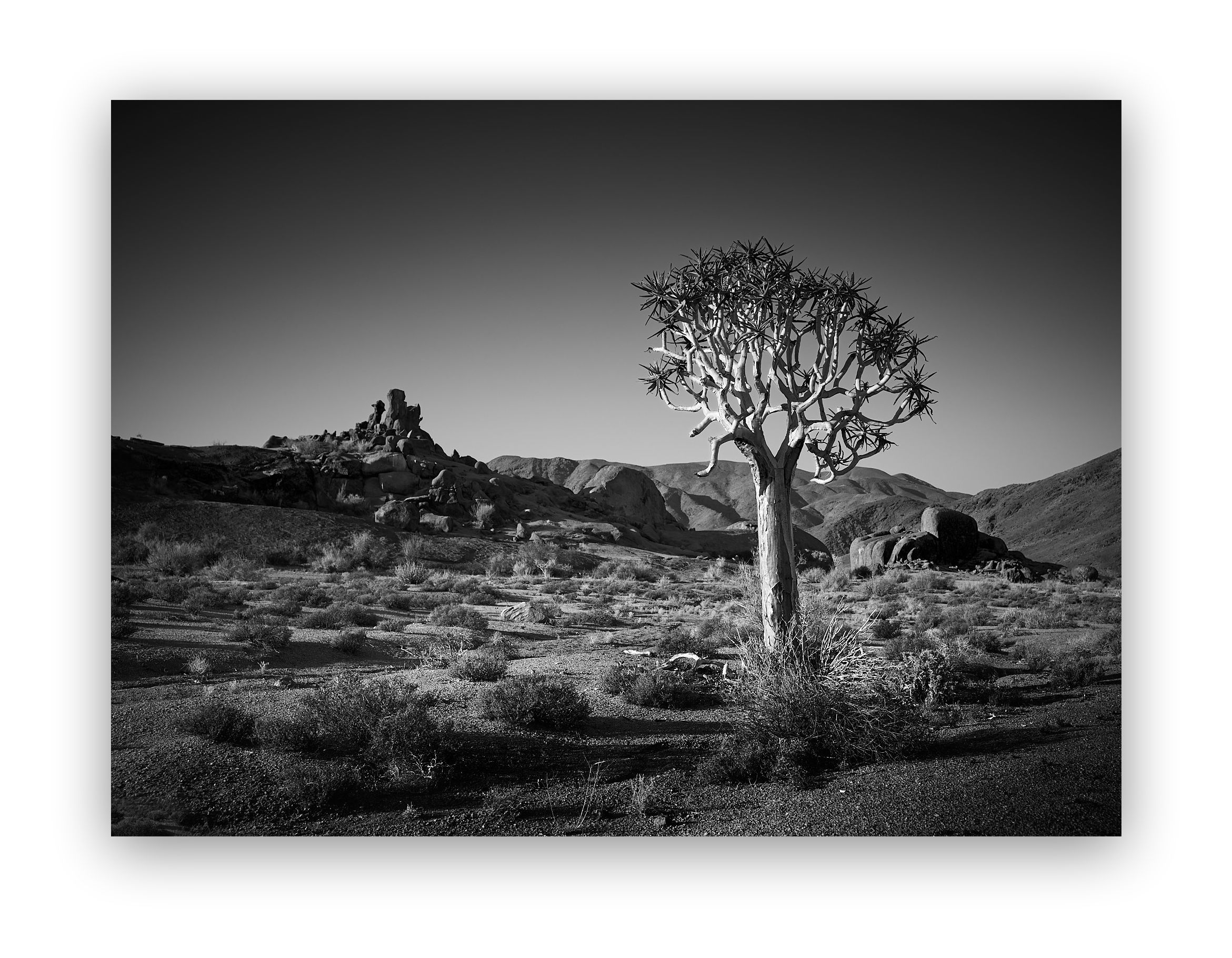 Ancient Harmony