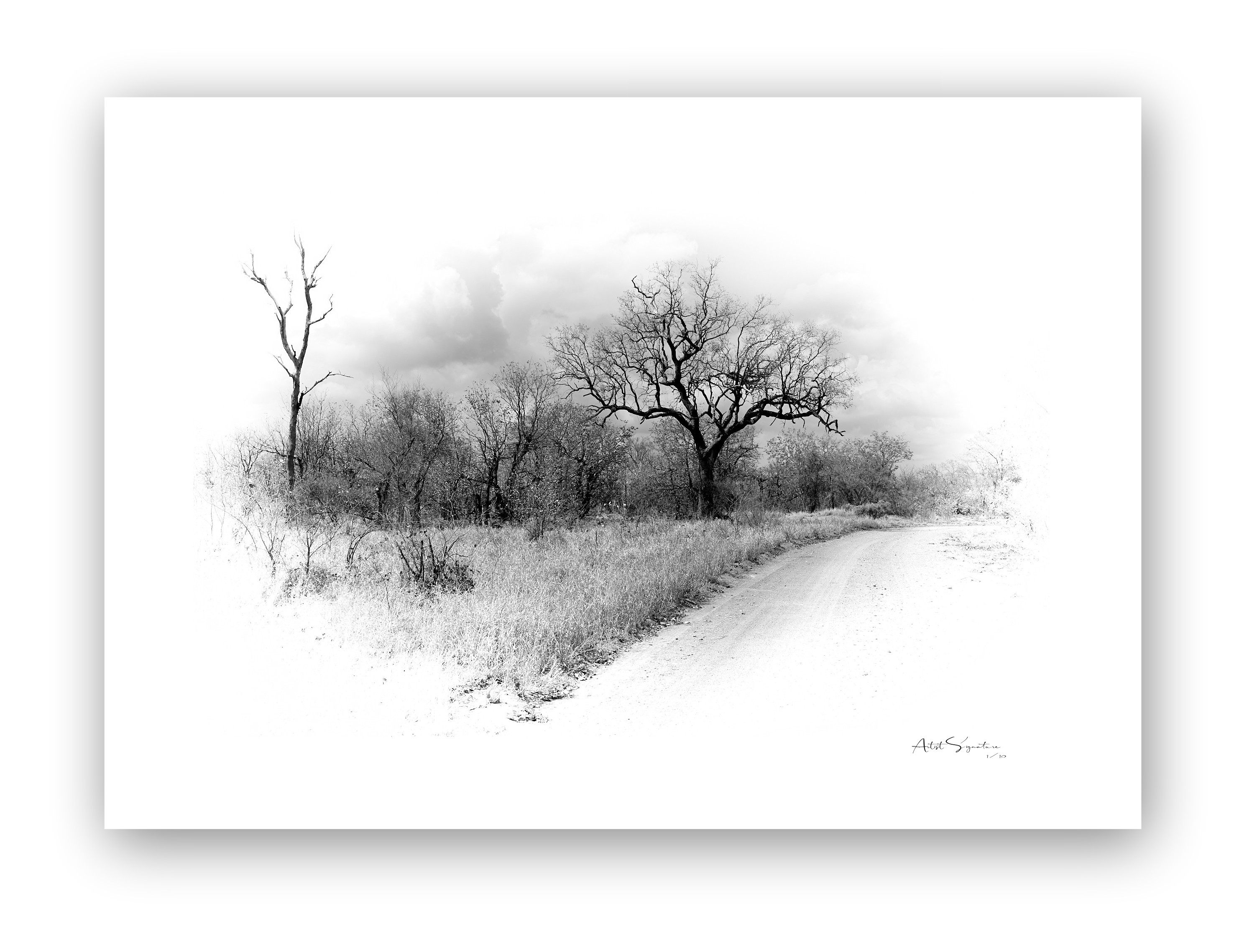 Tree Art #9