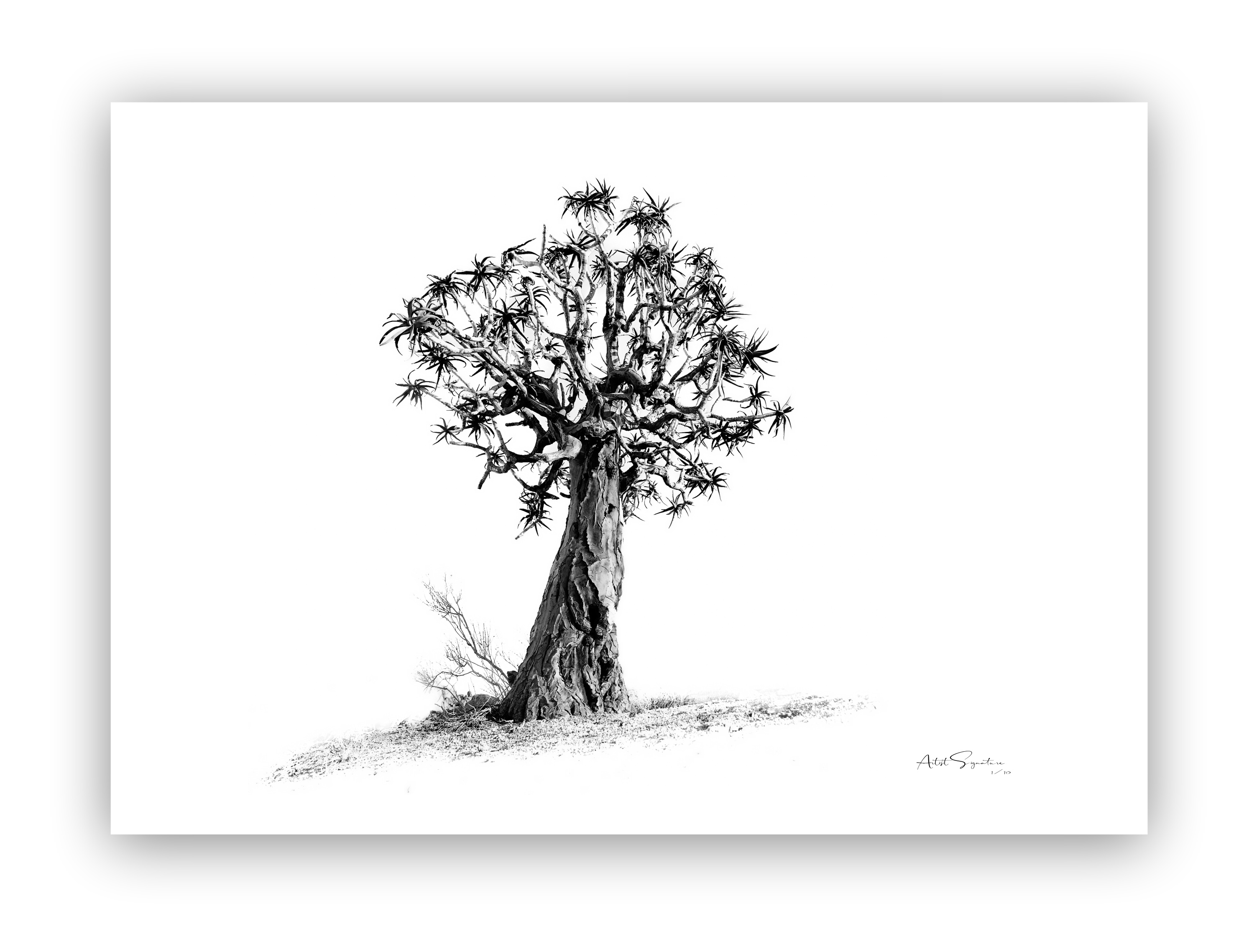 Tree Art #11